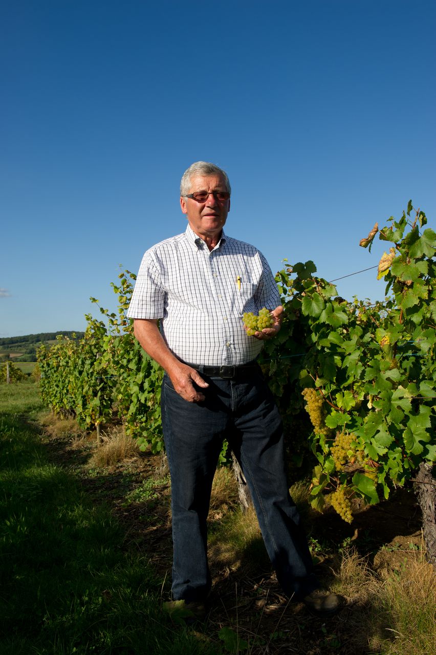 Vins Vigneron Pierre Rolet portraitPR-3
